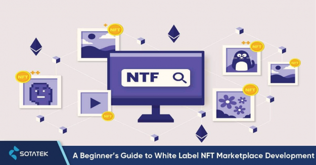 A Beginner’s Guide to Whitelabel NFT Marketplace Development