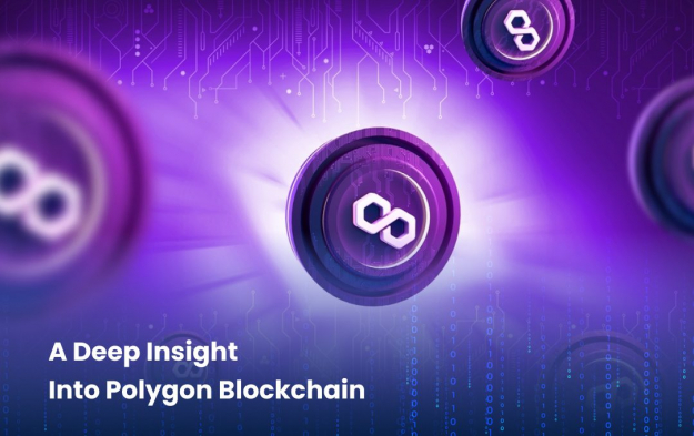 A Deep Insight Into Polygon Blockchain