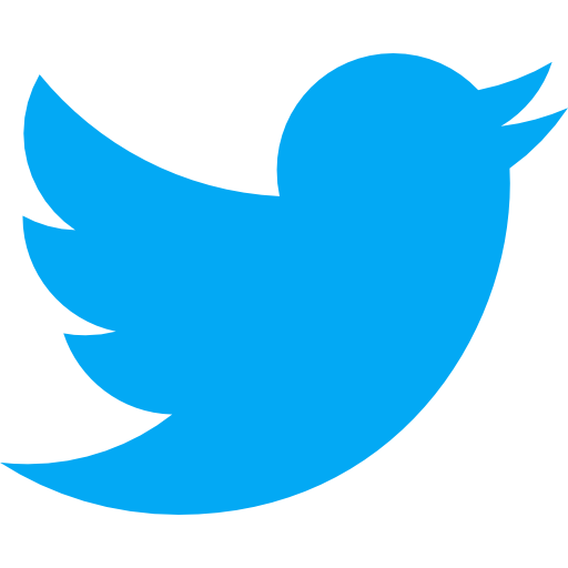 icon twitter